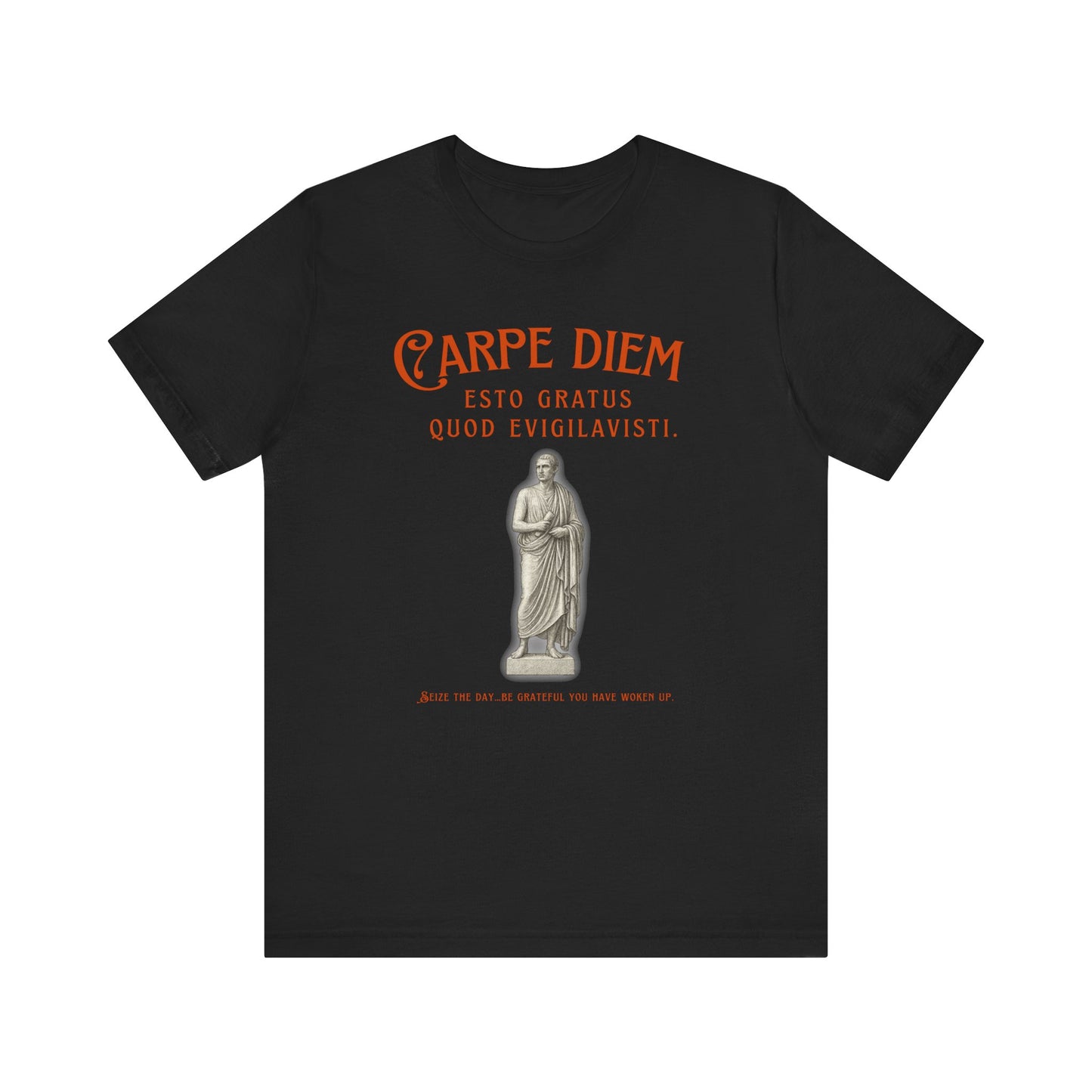 Carpe Diem Tee - Inspirational Shirt, Everyday Wear, Gift for Him/Her, Motivational Quote, Casual Fashion