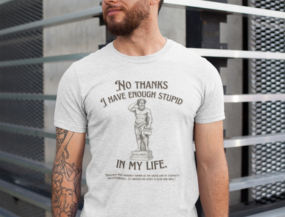 "No Thanks I Have Enough Stupid in My Life" - Humorous Statement Tee, Perfect for Gifts, Casual Wear, Birthdays, Parties, Sarcastic Style