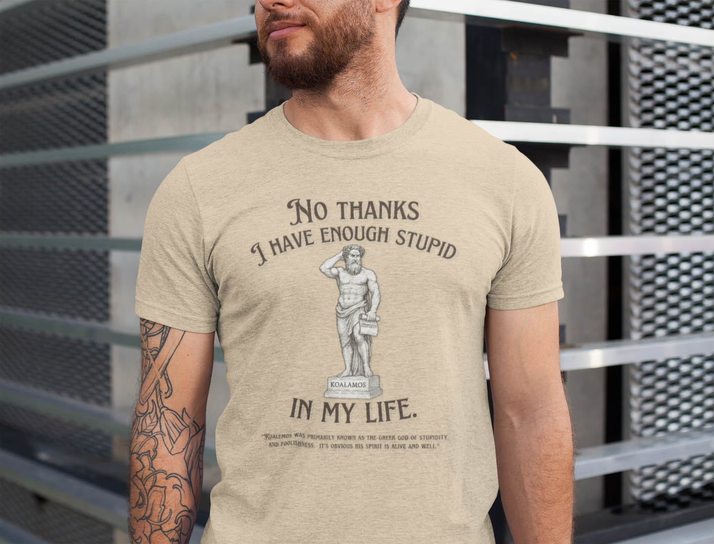 "No Thanks I Have Enough Stupid in My Life" - Humorous Statement Tee, Perfect for Gifts, Casual Wear, Birthdays, Parties, Sarcastic Style