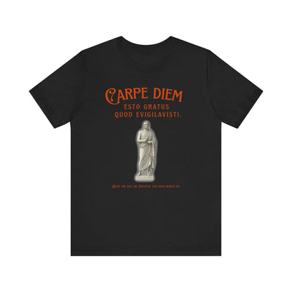 Carpe Diem Tee - Inspirational Shirt, Everyday Wear, Gift for Him/Her, Motivational Quote, Casual Fashion