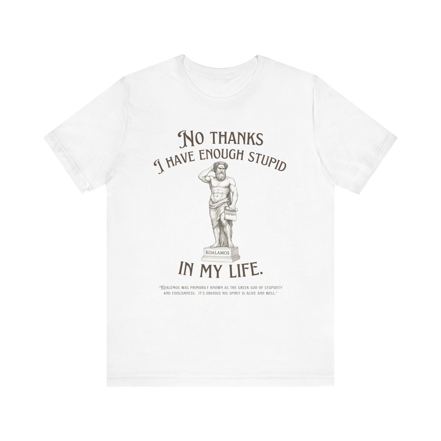 "No Thanks I Have Enough Stupid in My Life" - Humorous Statement Tee, Perfect for Gifts, Casual Wear, Birthdays, Parties, Sarcastic Style